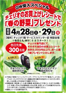 0428春の野菜プレゼントA3縦-[更新済み]